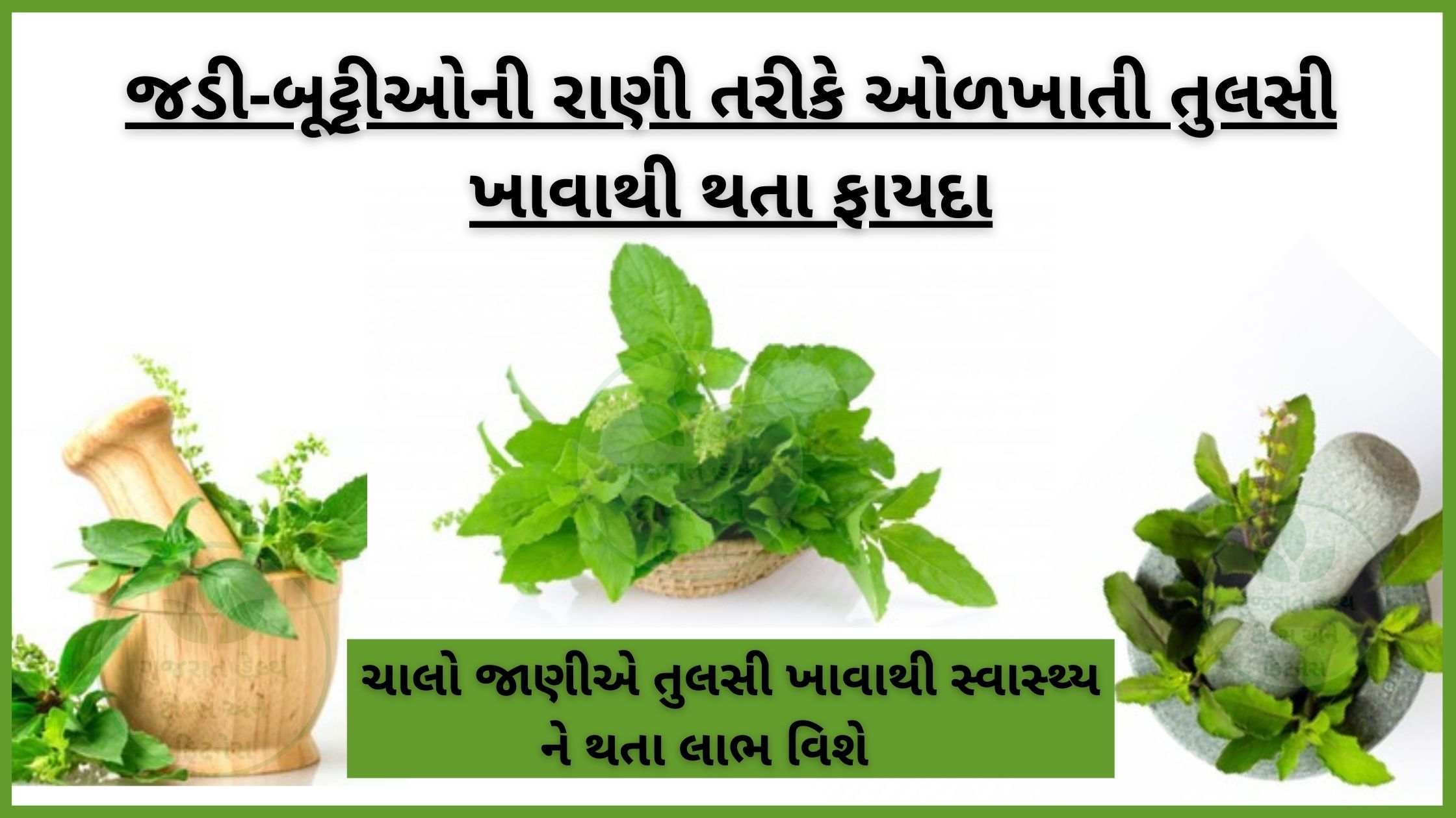 benefits of tulsi