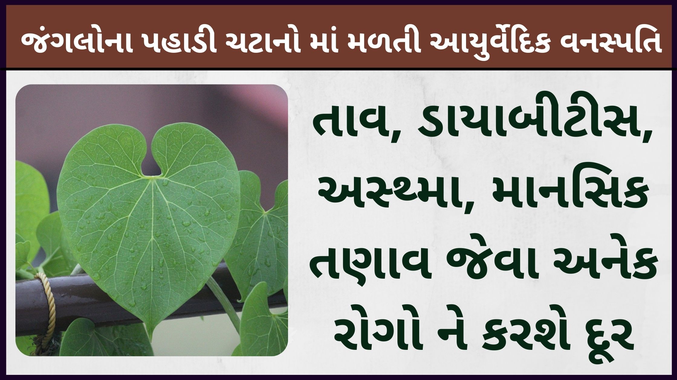 giloya na fayada in gujrati