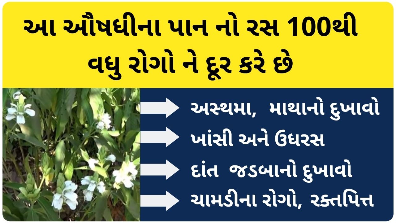 ardusi na faida in gujarati