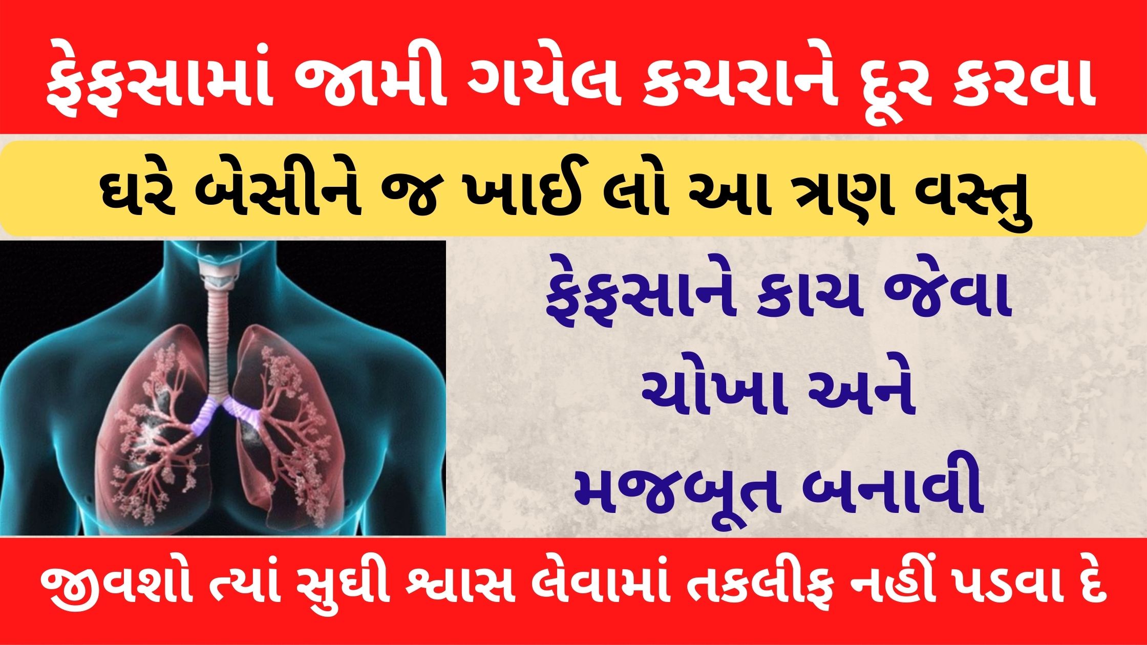 turmeric milk good for lungs