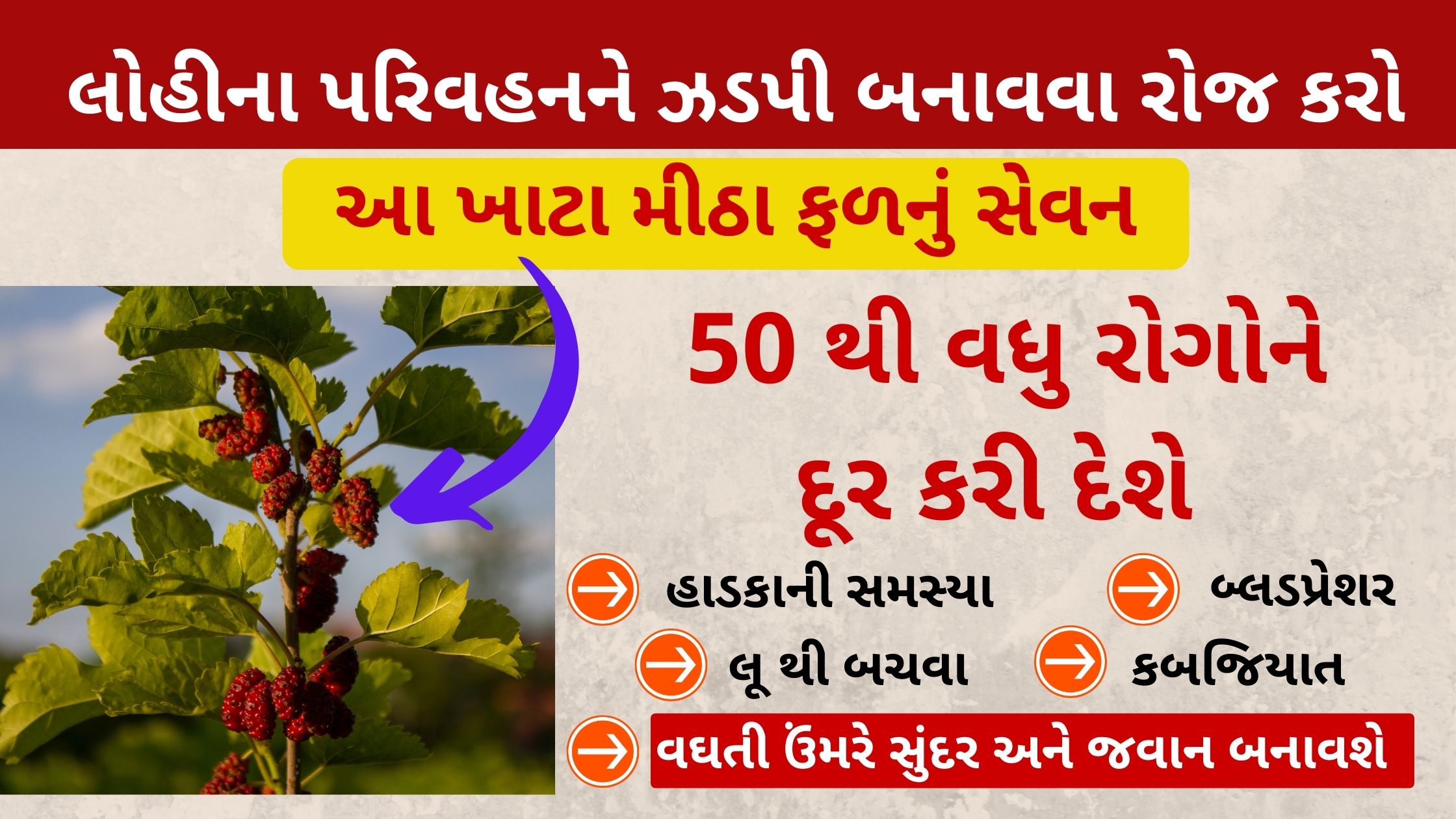 health benefits of setur