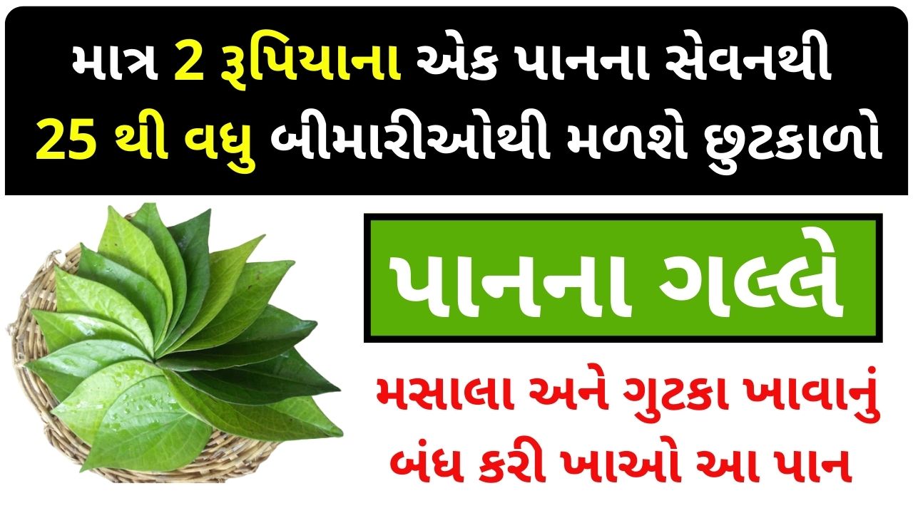 benefits of paan na patta