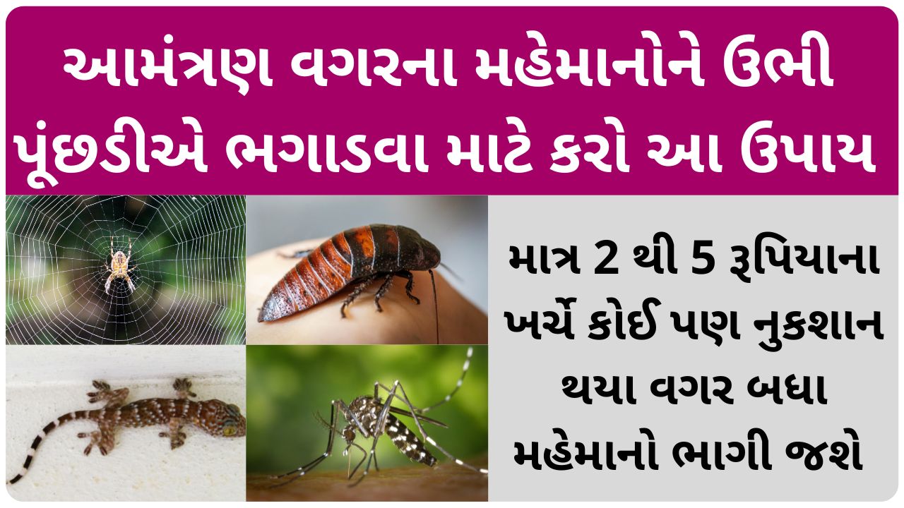 Remedies to repel living insects