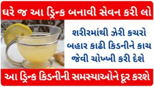 body ditox drinks