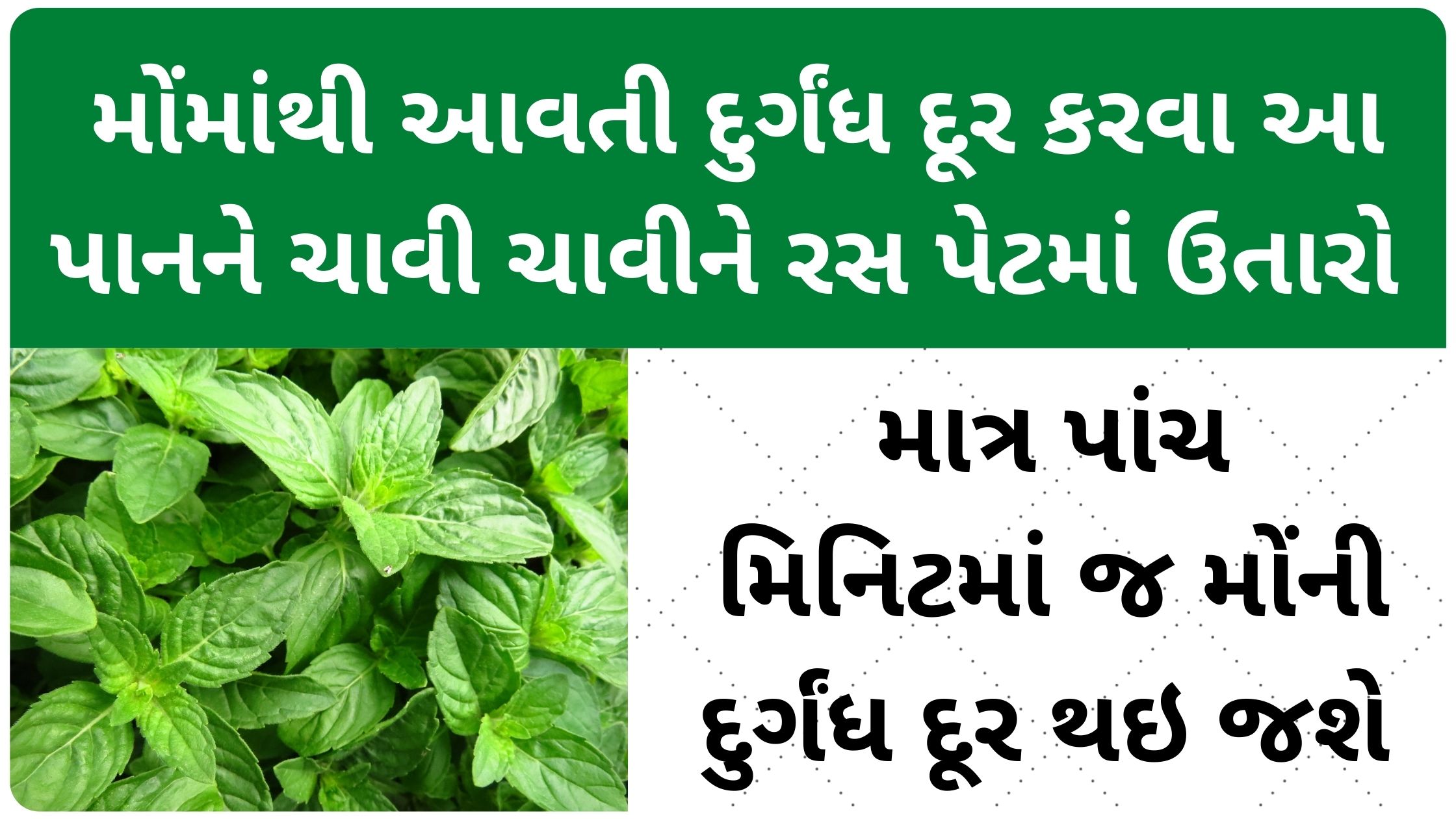 tulsi na fayda